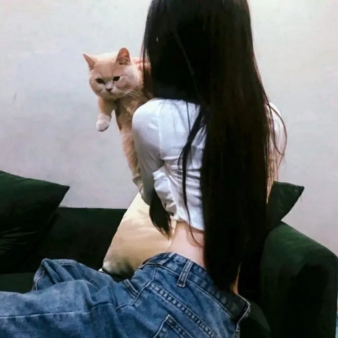 顶级阴谋