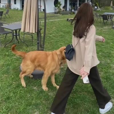 三兄弟：回来